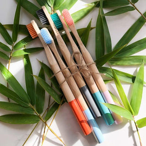 Biodegradable Bamboo Toothbrush